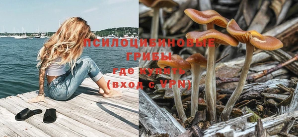mix Пересвет