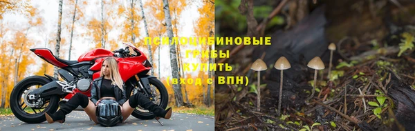 ешки Видное