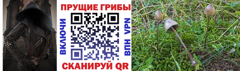 Галлюциногенные грибы Magic Shrooms Ардатов